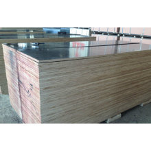 Film Faced Plywood Poplar Core WBP Glue for Construction Usages